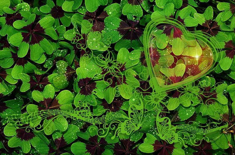 luck 2758147 960 720 사람의 가치를 직접 드러내는 것은 재산도 지위도 아니고 그의 인격이다. - 드니 아미엘 -