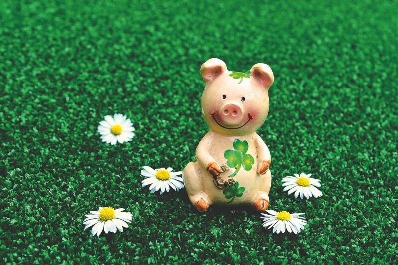 lucky pig 3838173 1280 오늘의 일진으로 해당하는 연령 별로 하면 좋은 것과 나쁜 것을 살펴봅니다.그다음으로 오늘 일진과 음력 날짜와의 관계로 좋고 나쁜 것을 가립니다.부수적으로 별자리로 본 행사에 좋은 것과 나쁜 것을 보고 각종 행사에 활용할 수 있는 항목들을 추가 하였습니다.