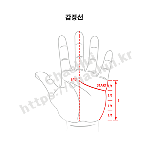 손금으로 보는 나의 체력 4 감정선 손금으로 알아보는 나의 체력 레벨: 손바닥이 알려주는 건강 비밀 손바닥에 새겨진 선들을 유심히 살펴본 적이 있나요? 고대인들은 손금을 통해 운명을 읽었지만, 현대 과학은 손금이 체력 상태를 반영한다고 말합니다. 2023년 스포츠의학 연구에 따르면 마라톤 선수들의 손금 패턴은 일반인과 확연히 다릅니다. 손금이 체력과 어떤 관련이 있는지 궁금하지 않나요? 손금으로 알아보는 체력 분석법과 관리 팁을 알려드리겠습니다. 손금으로