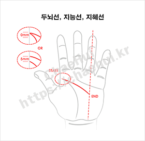 손금으로 보는 나의 체력 3 두뇌선 손금으로 알아보는 나의 체력 레벨: 손바닥이 알려주는 건강 비밀 손바닥에 새겨진 선들을 유심히 살펴본 적이 있나요? 고대인들은 손금을 통해 운명을 읽었지만, 현대 과학은 손금이 체력 상태를 반영한다고 말합니다. 2023년 스포츠의학 연구에 따르면 마라톤 선수들의 손금 패턴은 일반인과 확연히 다릅니다. 손금이 체력과 어떤 관련이 있는지 궁금하지 않나요? 손금으로 알아보는 체력 분석법과 관리 팁을 알려드리겠습니다. 손금으로