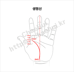 손금으로 보는 나의 체력 2 생명선 손금으로 알아보는 나의 체력 레벨: 손바닥이 알려주는 건강 비밀 손바닥에 새겨진 선들을 유심히 살펴본 적이 있나요? 고대인들은 손금을 통해 운명을 읽었지만, 현대 과학은 손금이 체력 상태를 반영한다고 말합니다. 2023년 스포츠의학 연구에 따르면 마라톤 선수들의 손금 패턴은 일반인과 확연히 다릅니다. 손금이 체력과 어떤 관련이 있는지 궁금하지 않나요? 손금으로 알아보는 체력 분석법과 관리 팁을 알려드리겠습니다. 손금으로