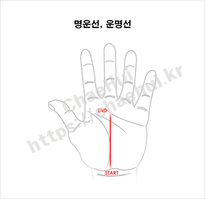 손금으로 보는 나의 체력 5 운명선 손금으로 알아보는 나의 체력 레벨: 손바닥이 알려주는 건강 비밀 손바닥에 새겨진 선들을 유심히 살펴본 적이 있나요? 고대인들은 손금을 통해 운명을 읽었지만, 현대 과학은 손금이 체력 상태를 반영한다고 말합니다. 2023년 스포츠의학 연구에 따르면 마라톤 선수들의 손금 패턴은 일반인과 확연히 다릅니다. 손금이 체력과 어떤 관련이 있는지 궁금하지 않나요? 손금으로 알아보는 체력 분석법과 관리 팁을 알려드리겠습니다. 손금으로