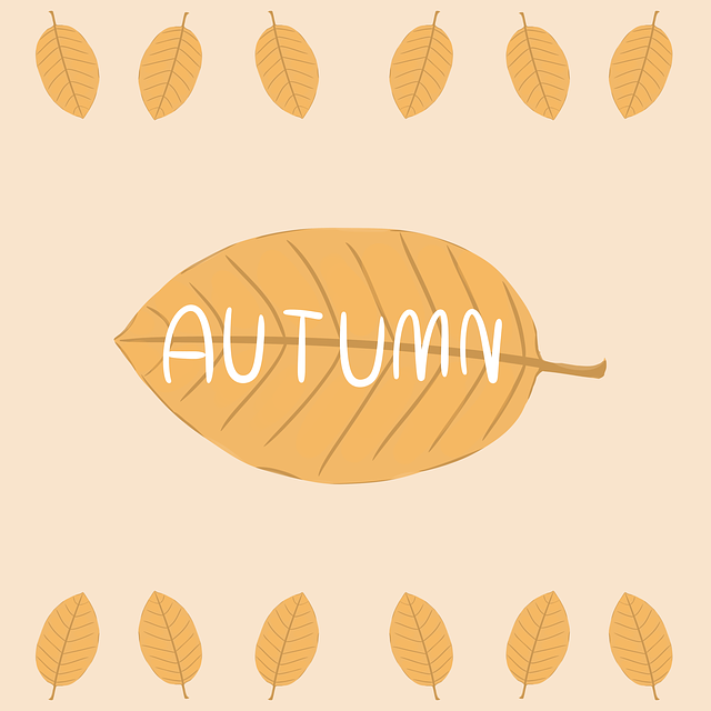 autumn 3651043 640 가을의 정취를 더해줄 음악, 고사, 그리고 글귀 가을은 사색과 감성이 깊어지는 계절입니다. 따뜻한 차 한 잔 옆에 두고 천천히 읽어 내려갈 수 있도록, 이 계절에 꼭 필요한 힐링 콘텐츠들을 모아봤습니다. 1. 가을밤 감성을 채워줄 추천 음악 5곡과 비하인드 스토리 가을의 공기와 잘 어울리는 명곡들에는 어떤 이야기가 숨겨져 있을까요? 2. 차와 함께 깊은 사색을 위한